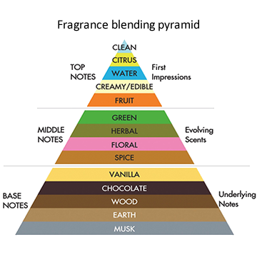 Geurpiramide parfum